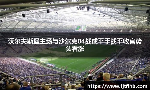 沃尔夫斯堡主场与沙尔克04战成平手战平收官势头看涨